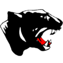Schuylkill Valley Panthers